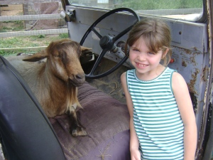 My extra-sweet S with a goat named Jane.